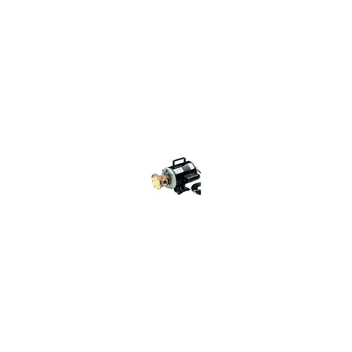 UTILITY PUMP 115/230 VOLT